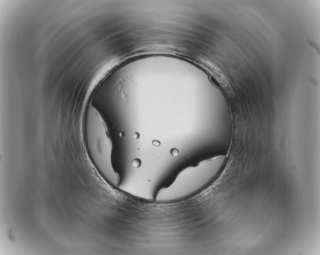 X0000096491188200802071935