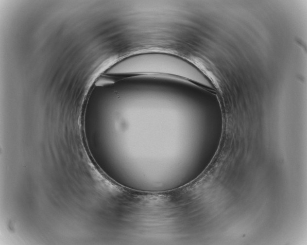 X0000096491189200802071935