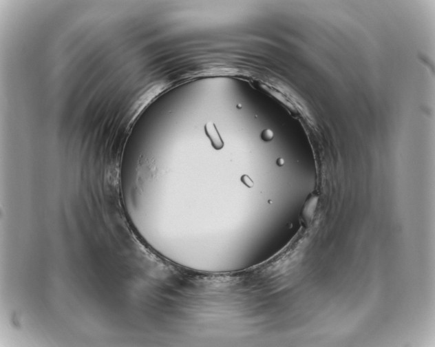 X0000096491193200802071935