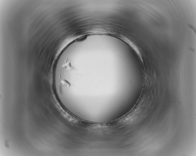 X0000096491195200802071935