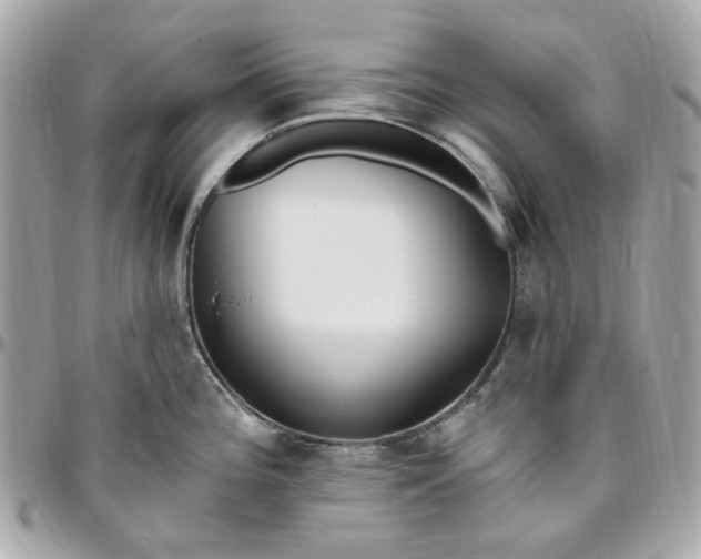 X0000096491196200802071935