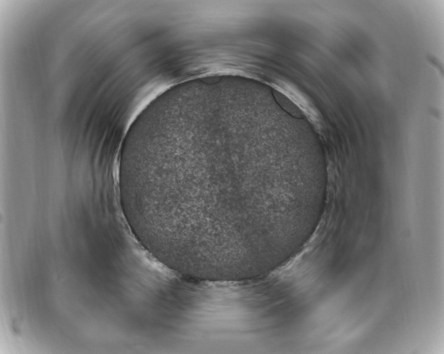 X0000096491198200802071935