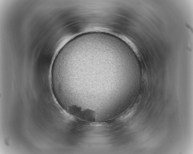 X0000096491199200802071935