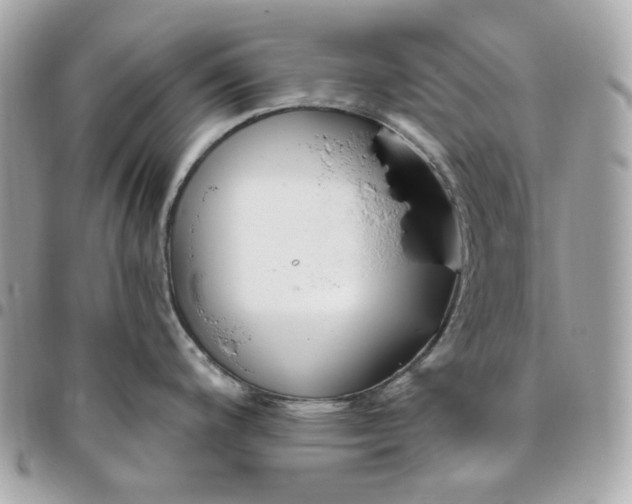 X0000096491200200802071935