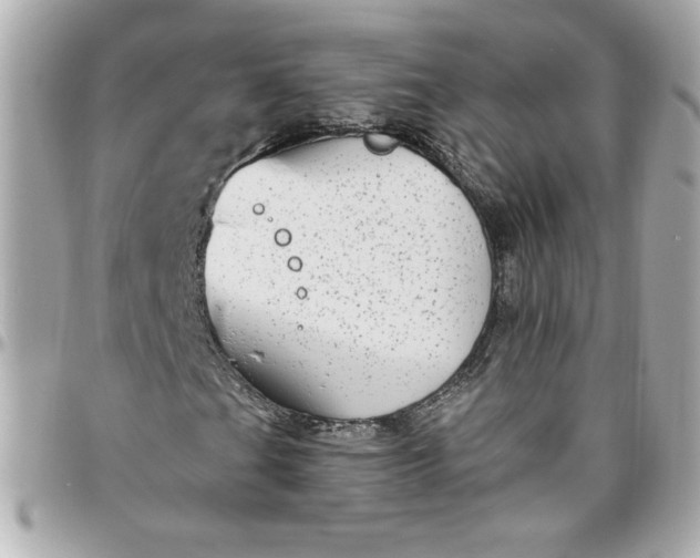 X0000096491201200802071935