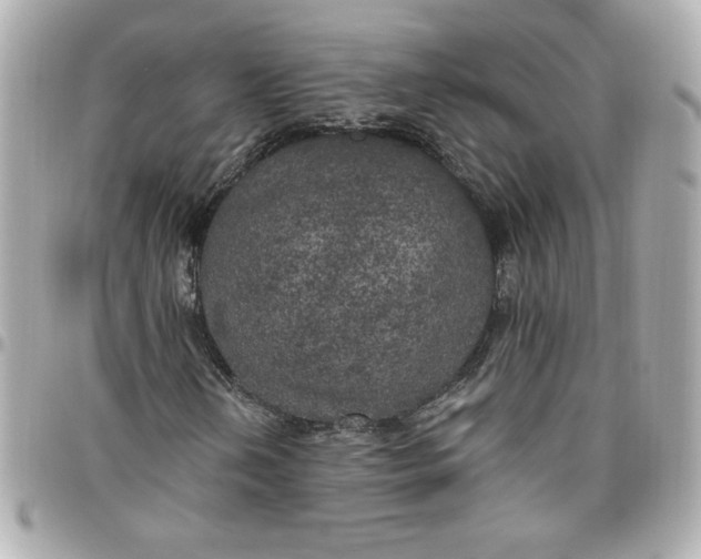 X0000096491202200802071935