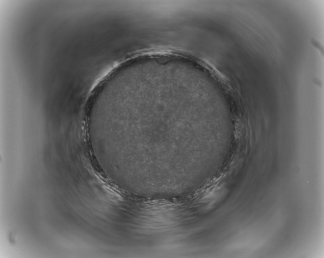 X0000096491208200802071935