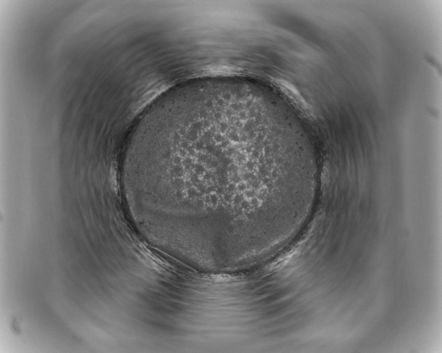 X0000096491209200802071935