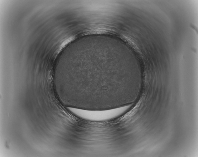 X0000096491210200802071935