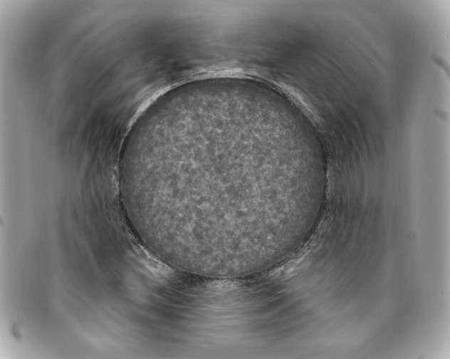 X0000096491212200802071935