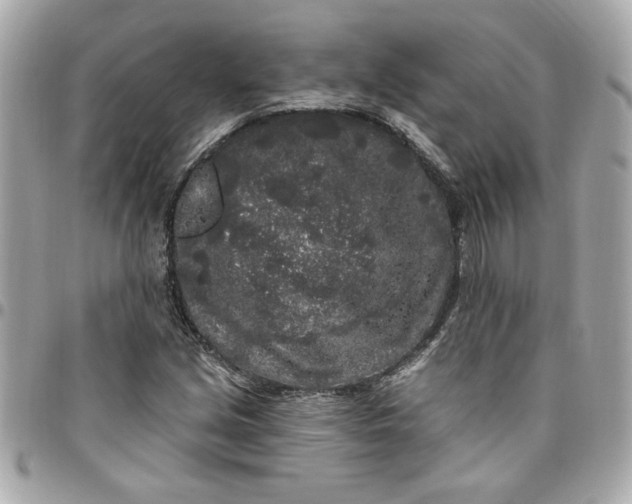 X0000096491213200802071935