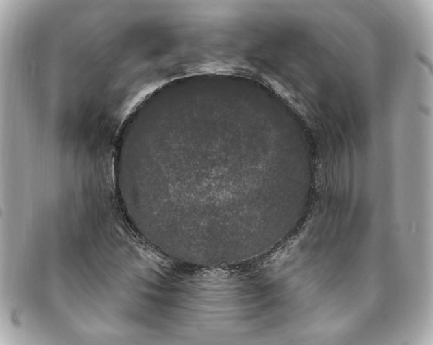 X0000096491214200802071935