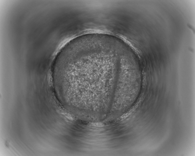 X0000096491215200802071935