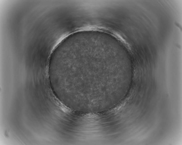 X0000096491216200802071935