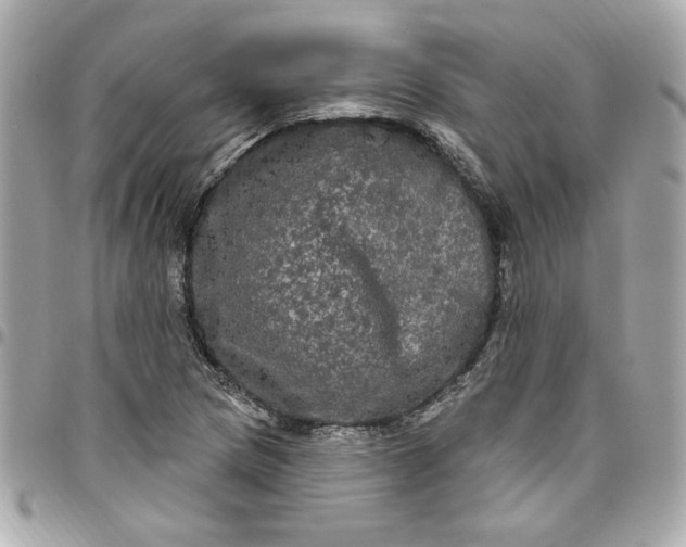 X0000096491217200802071935