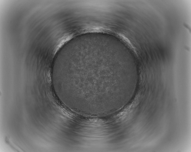 X0000096491218200802071935