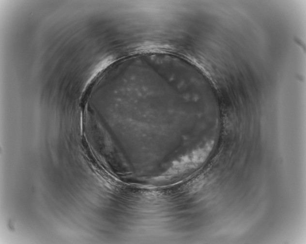 X0000096491219200802071935