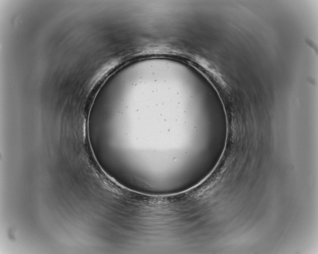 X0000096491221200802071935