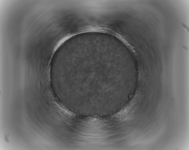 X0000096491222200802071935