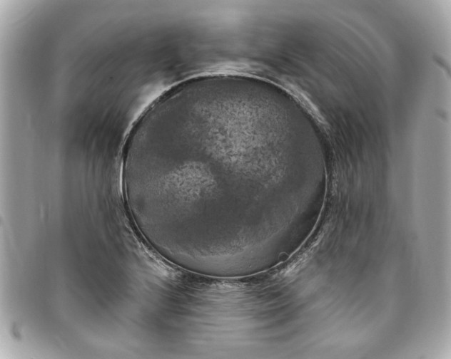 X0000096491224200802071935