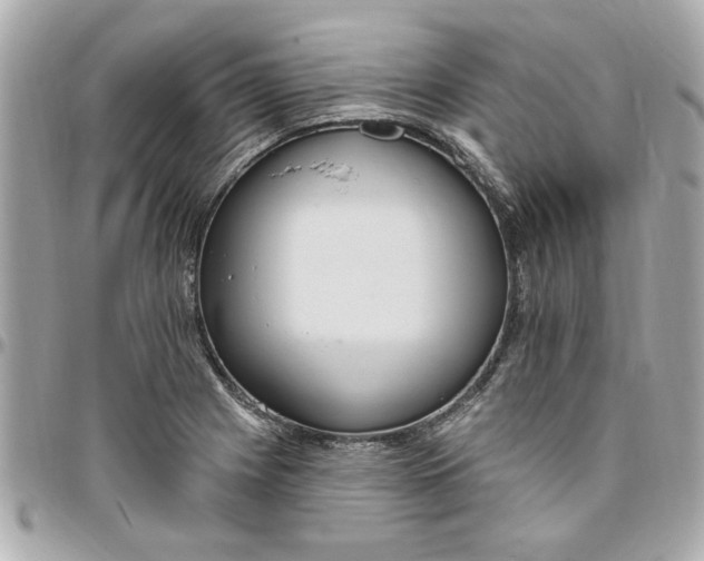 X0000096491225200802071935