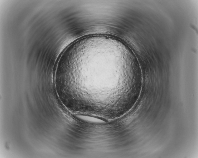 X0000096491226200802071935