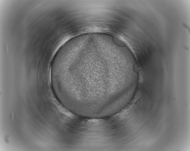 X0000096491227200802071935