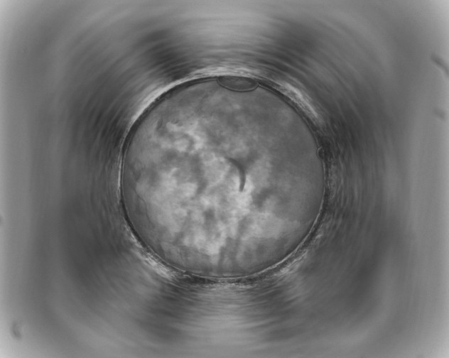 X0000096491228200802071935