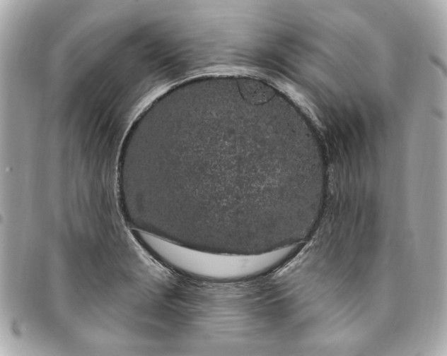 X0000096491229200802071935