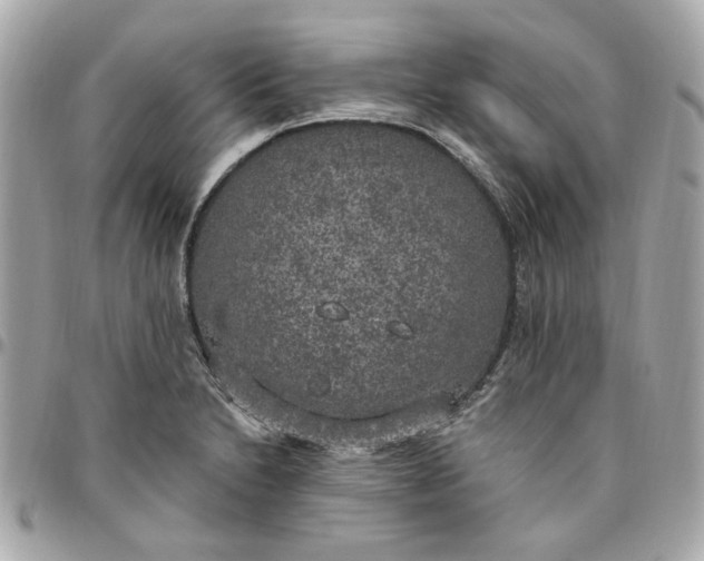 X0000096491230200802071935