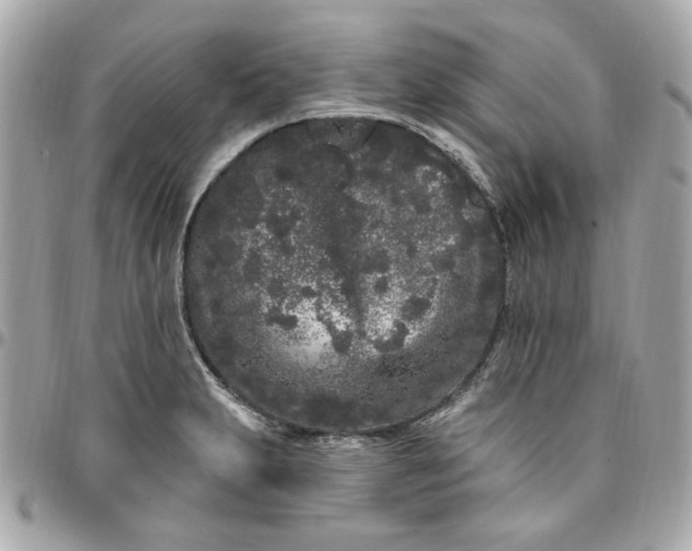 X0000096491231200802071935