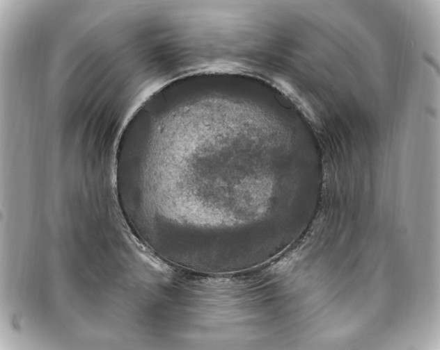 X0000096491232200802071935