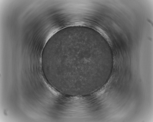 X0000096491234200802071935