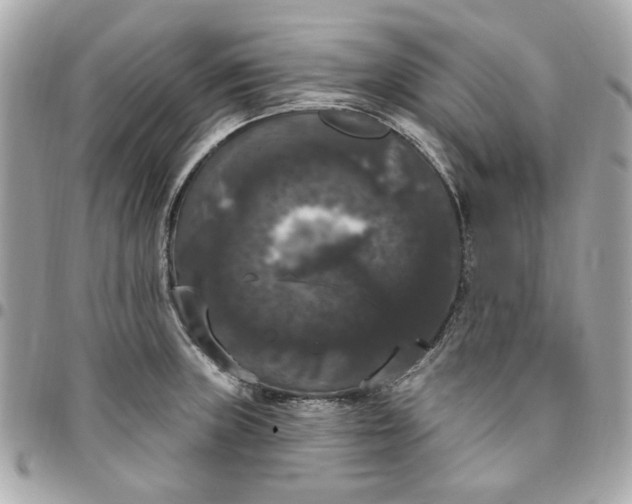 X0000096491235200802071935