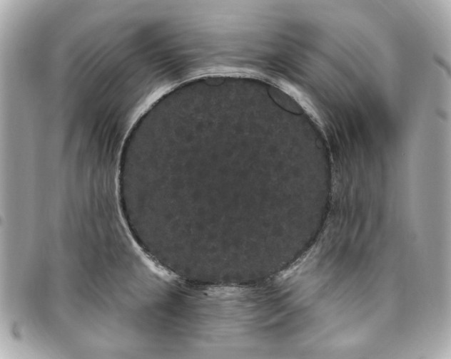 X0000096491237200802071935