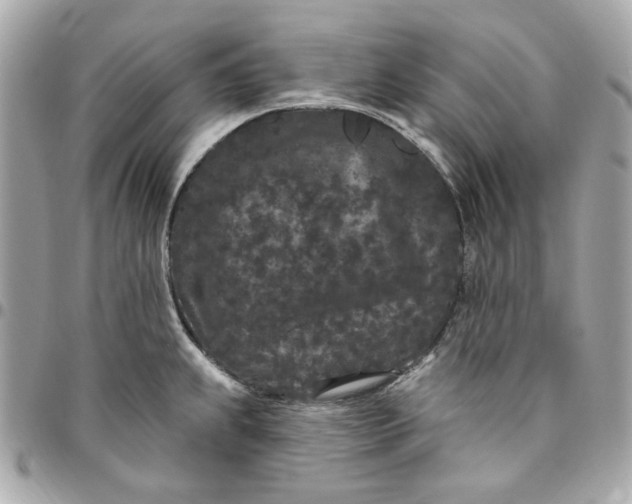 X0000096491239200802071935