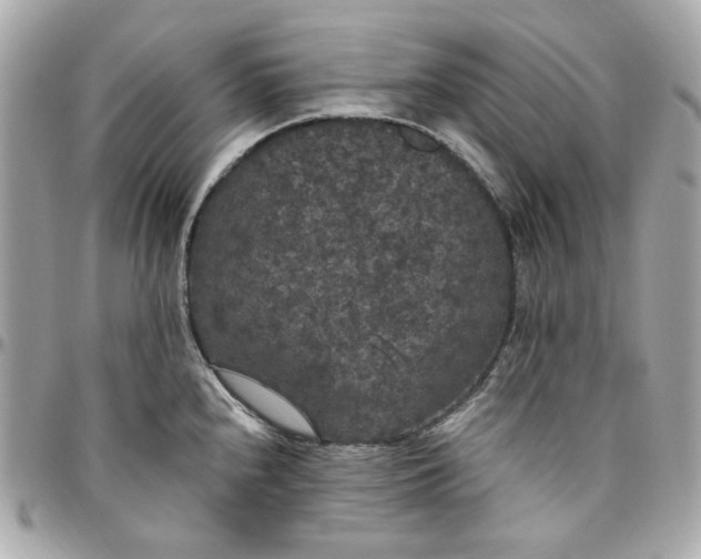 X0000096491240200802071935