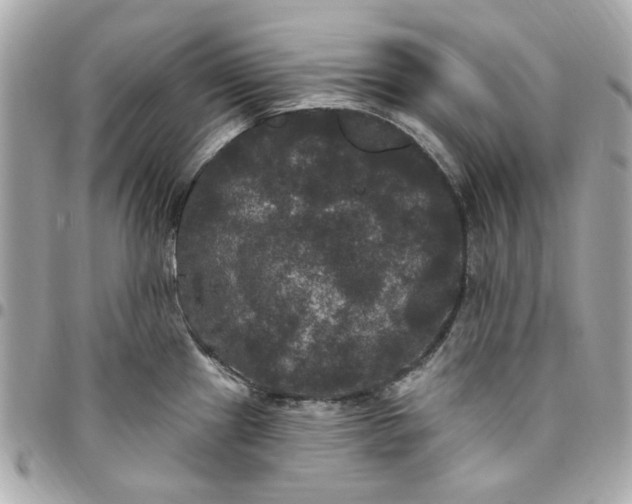 X0000096491241200802071935