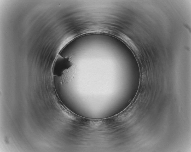 X0000096491242200802071935