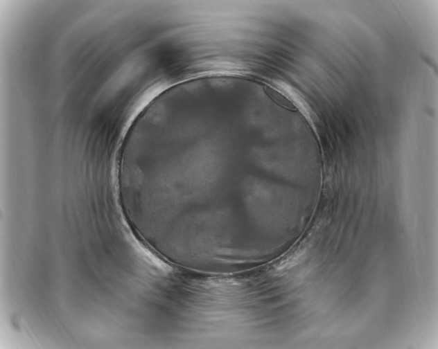 X0000096491243200802071935