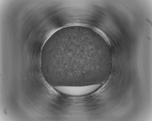 X0000096491244200802071935