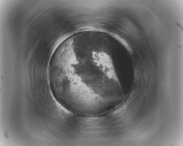 X0000096491247200802071935