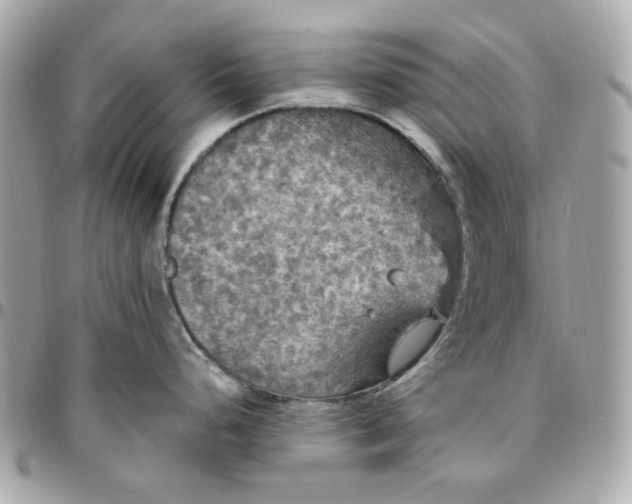 X0000096491248200802071935