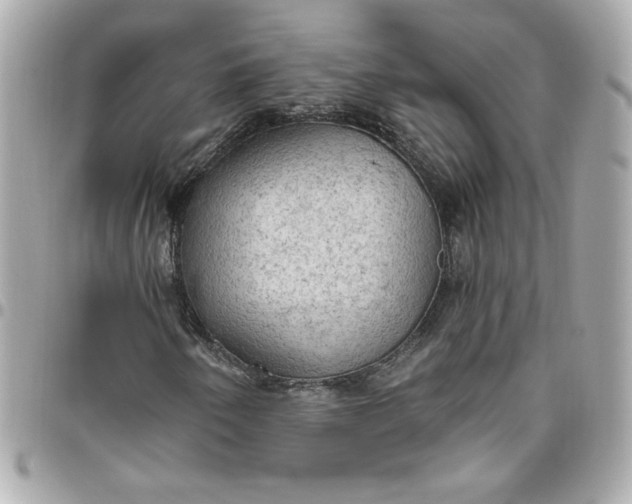 X0000096491250200802071935