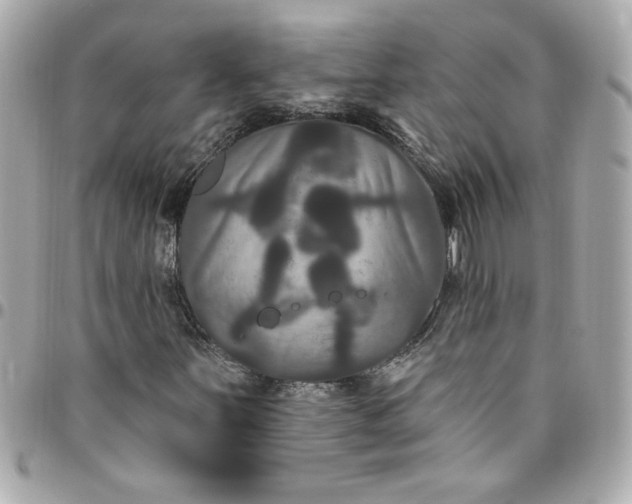 X0000096491251200802071935