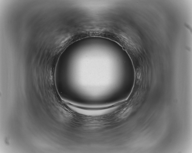 X0000096491252200802071935