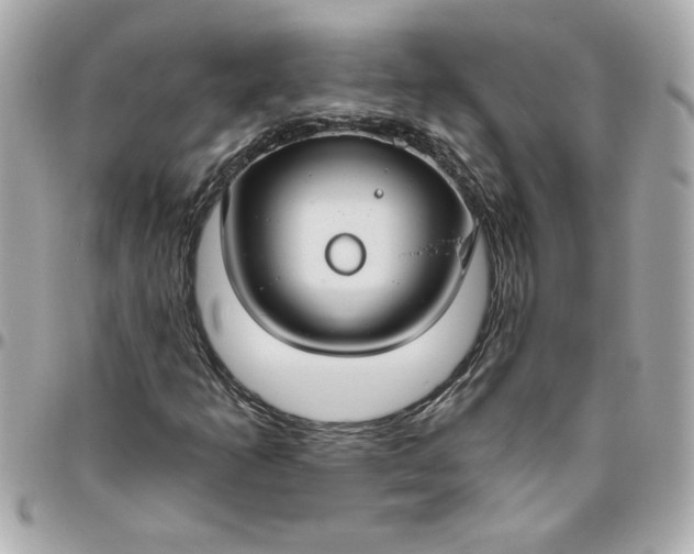 X0000096491253200802071934