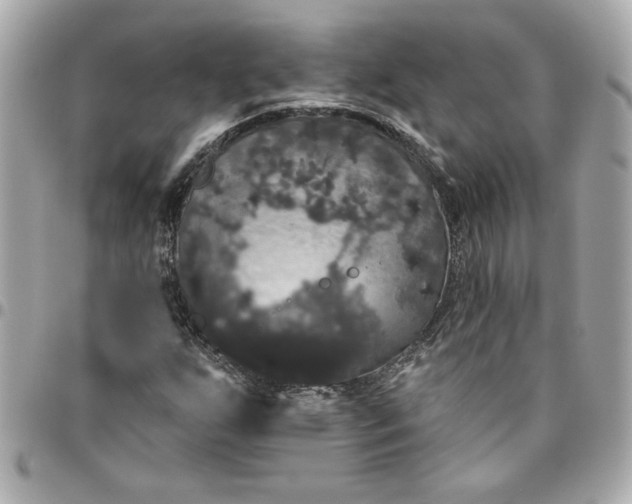 X0000096491255200802071934