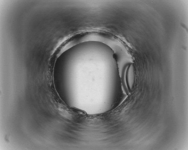 X0000096491256200802071934