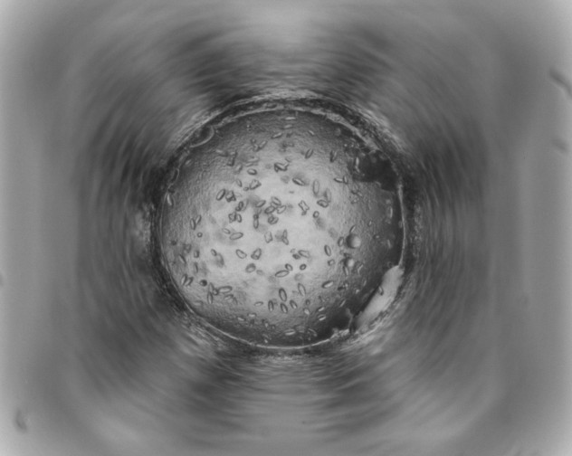 X0000096491257200802071934